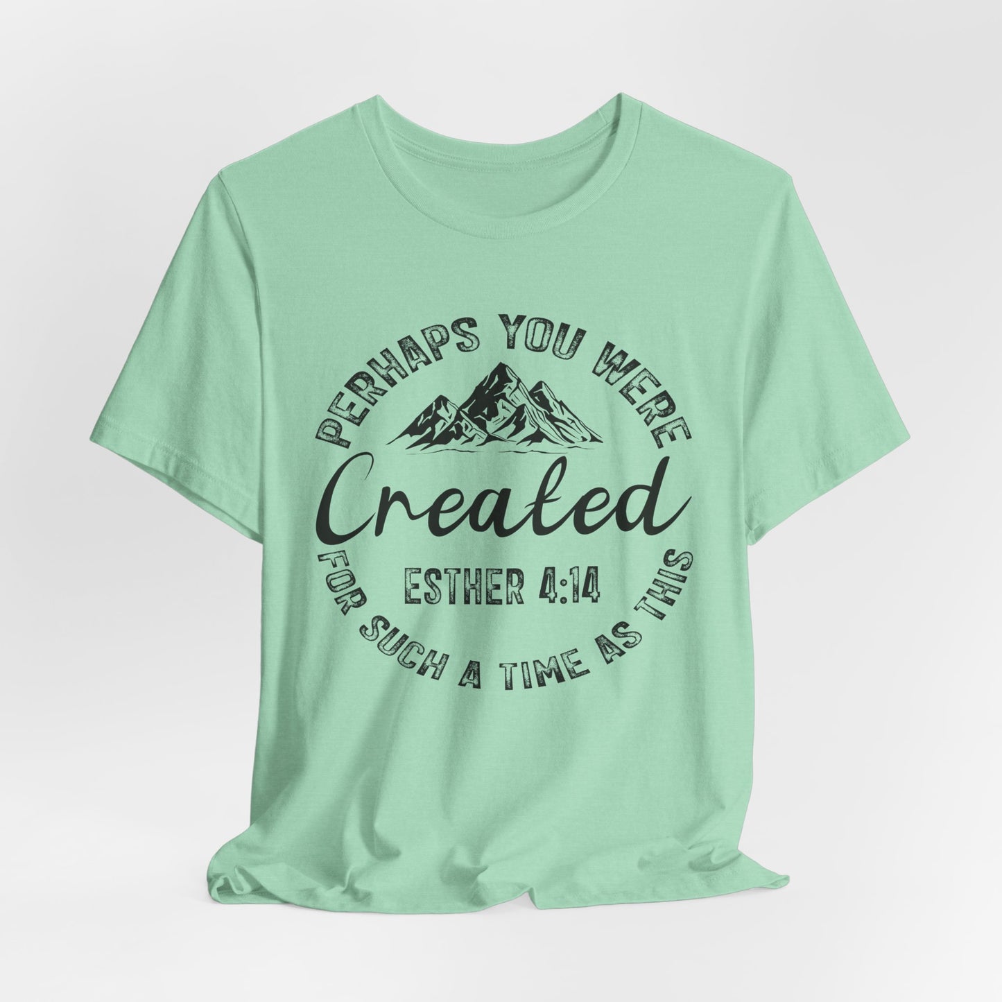 You Were Created Shirt