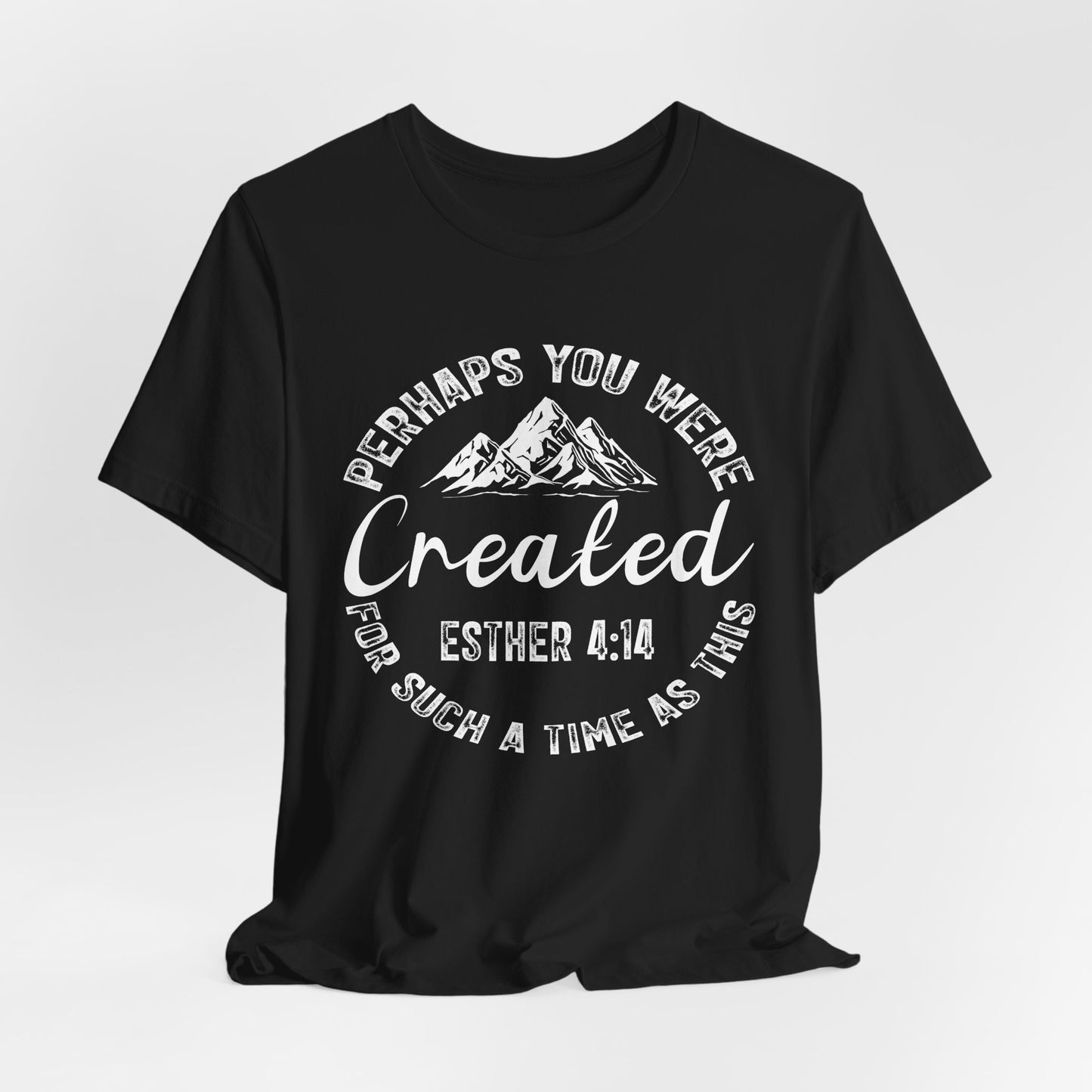 You Were Created Shirt