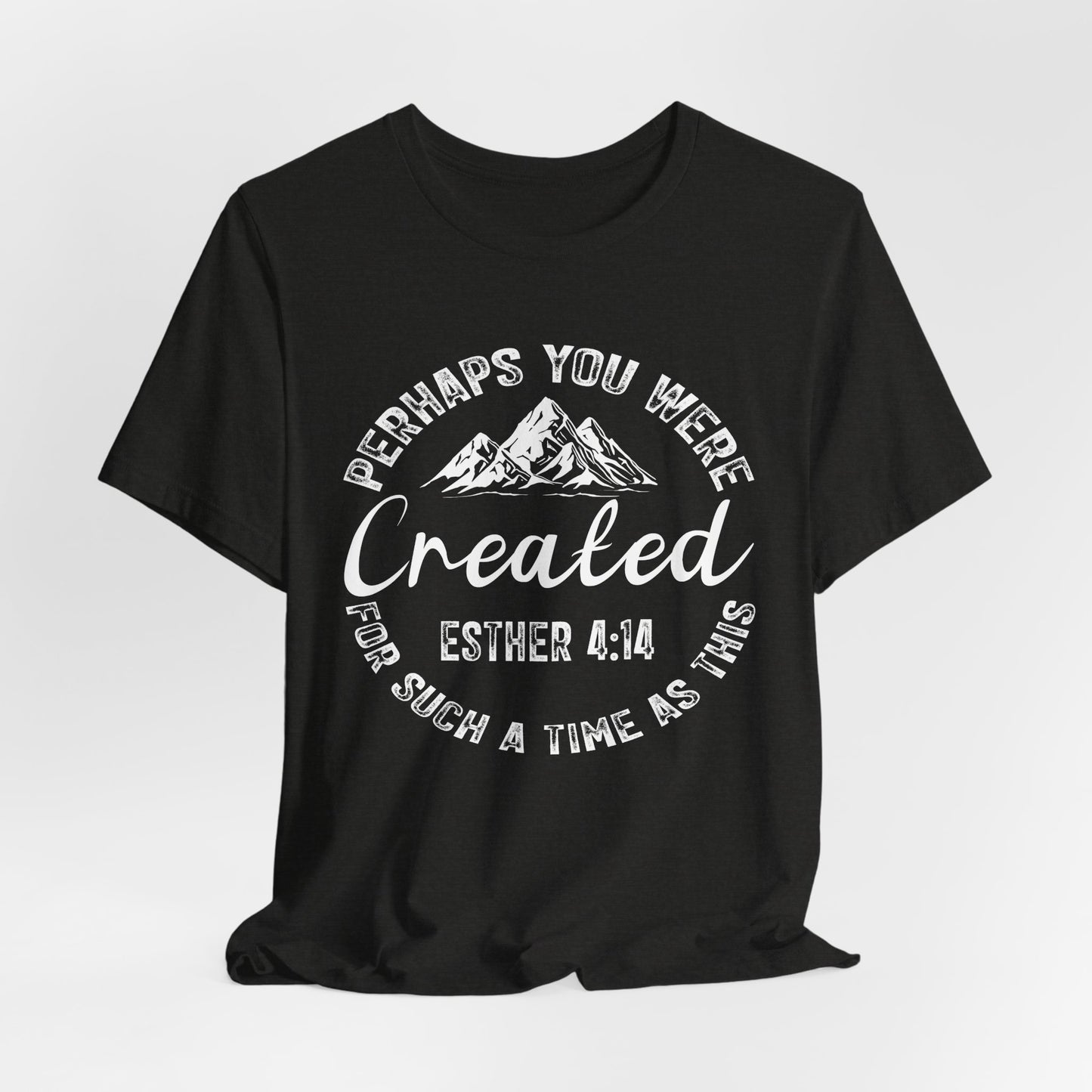 You Were Created Shirt