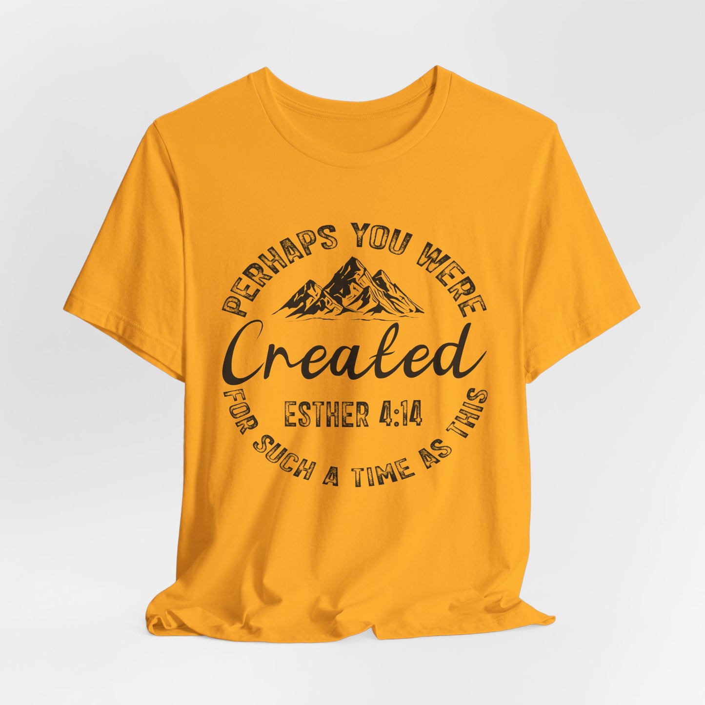 You Were Created Shirt