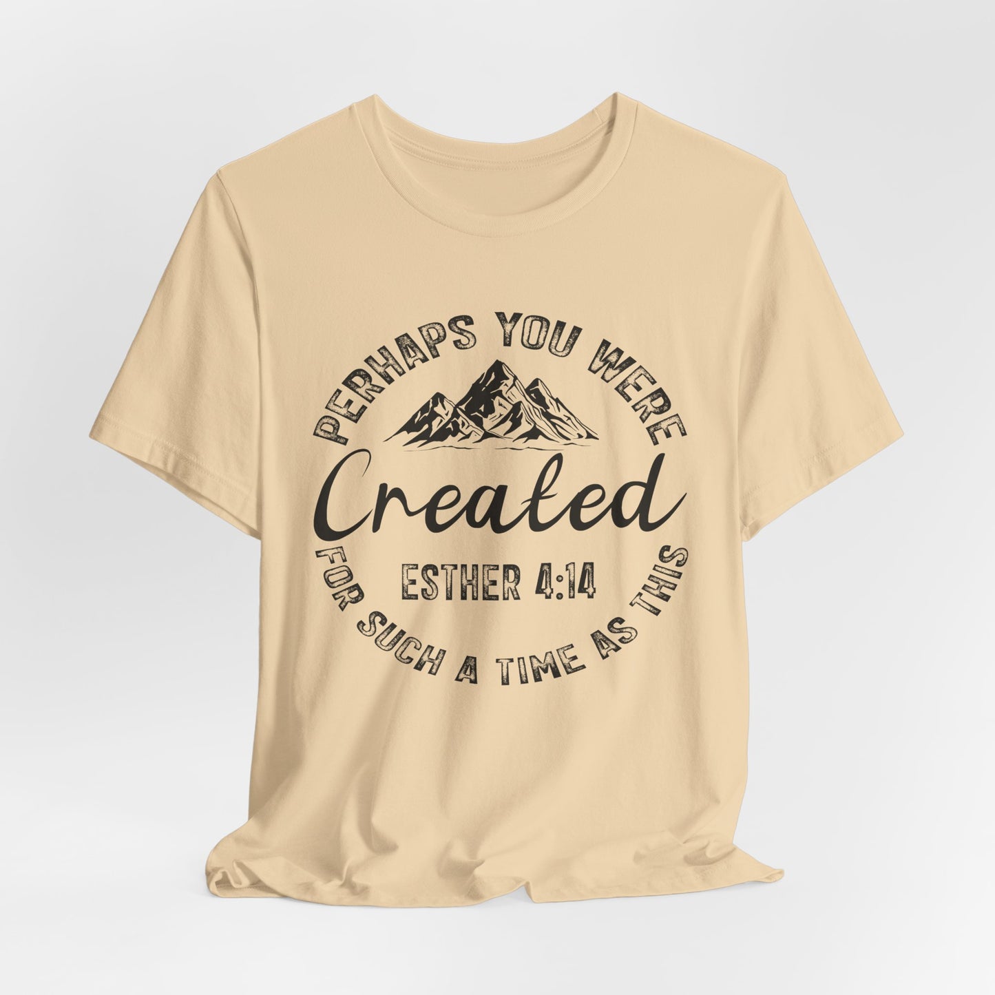 You Were Created Shirt