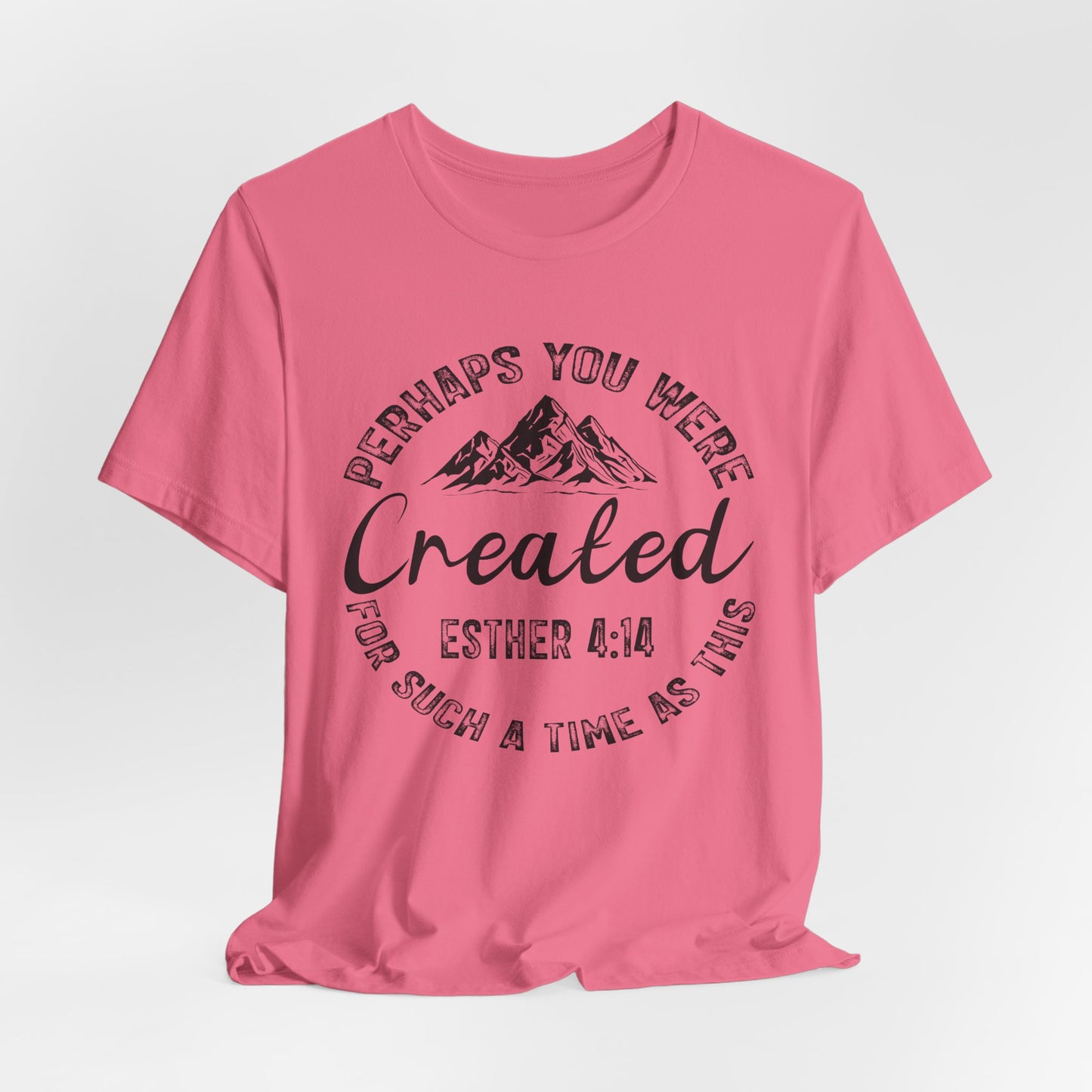 You Were Created Shirt