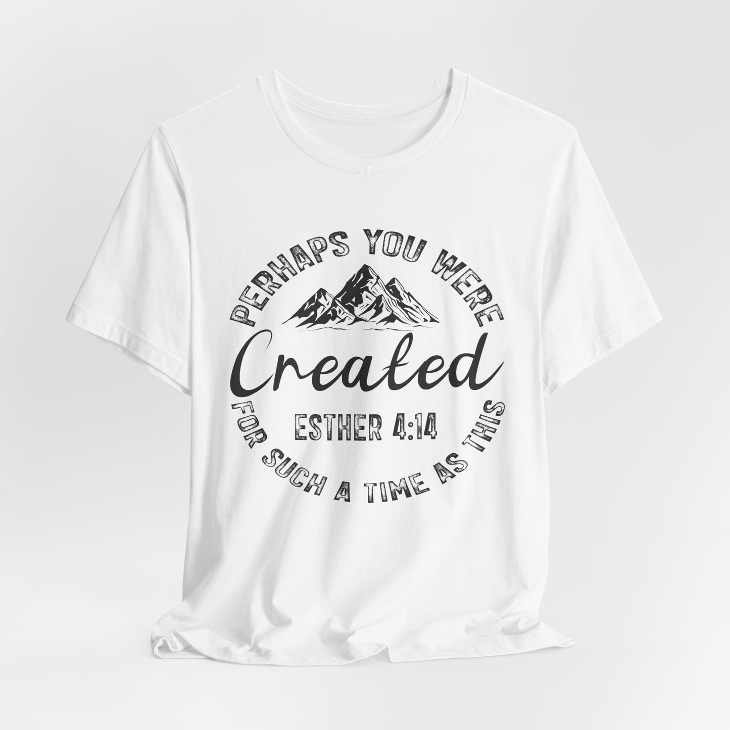 You Were Created Shirt