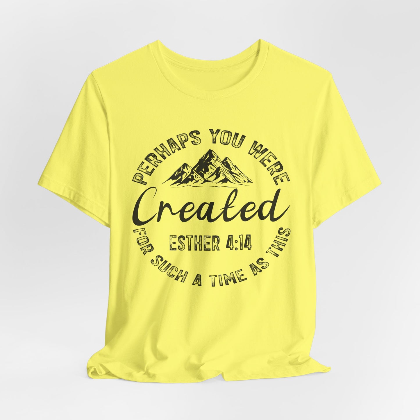 You Were Created Shirt