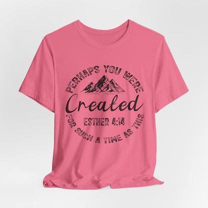 You Were Created Shirt