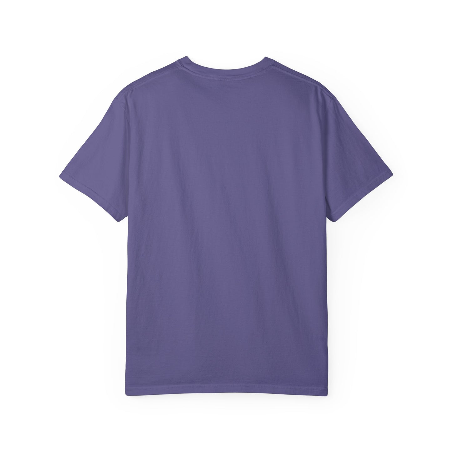 SFES | Comfort Colors Unisex Garment-Dyed T-shirt