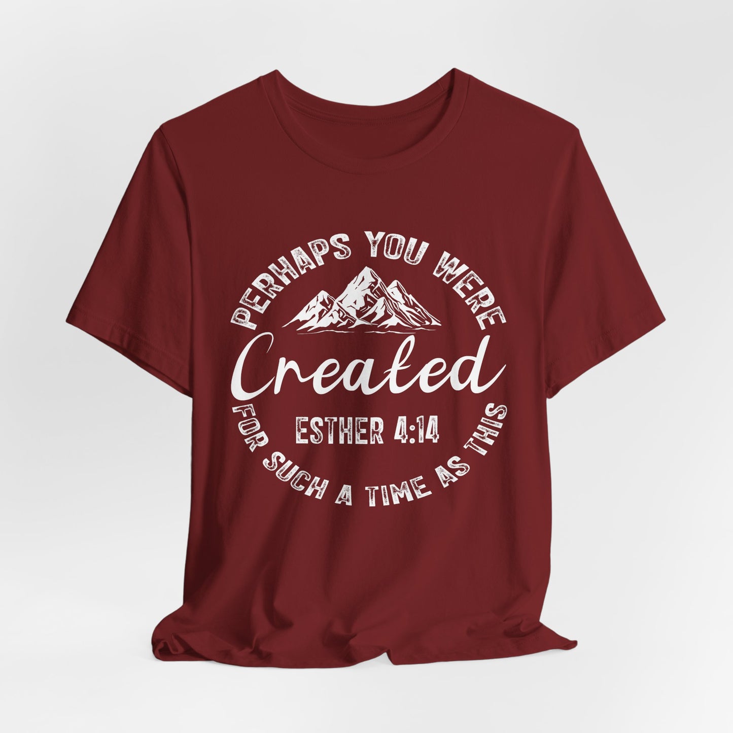 You Were Created Shirt